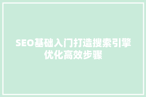 SEO基础入门打造搜索引擎优化高效步骤