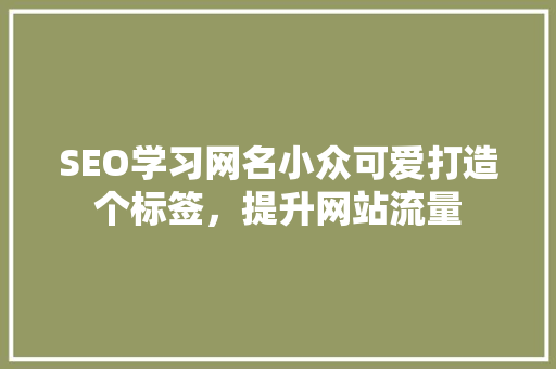 SEO学习网名小众可爱打造个标签，提升网站流量