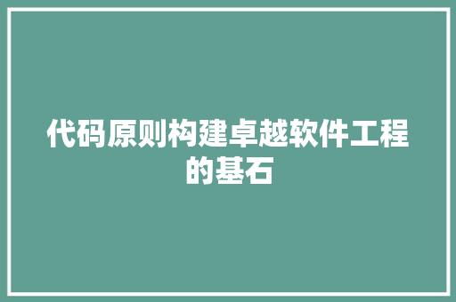 代码原则构建卓越软件工程的基石