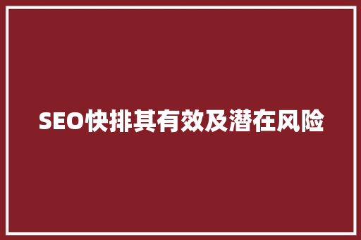 SEO快排其有效及潜在风险