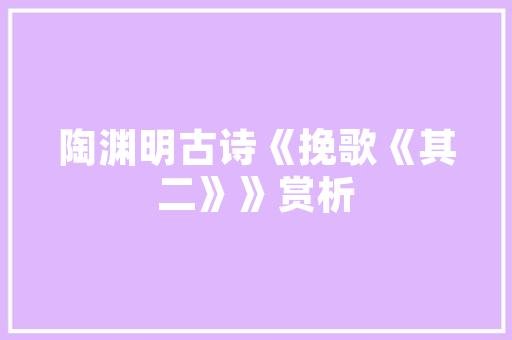 企业代码在现代企业管理中的重要及优化步骤