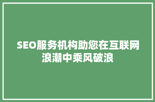 SEO服务机构助您在互联网浪潮中乘风破浪
