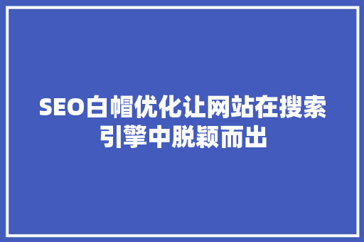 SEO白帽优化让网站在搜索引擎中脱颖而出