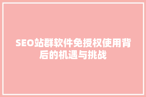 SEO站群软件免授权使用背后的机遇与挑战
