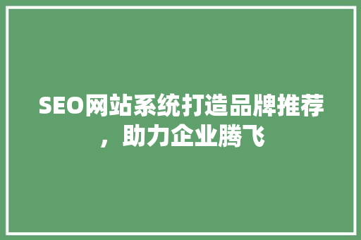 SEO网站系统打造品牌推荐，助力企业腾飞