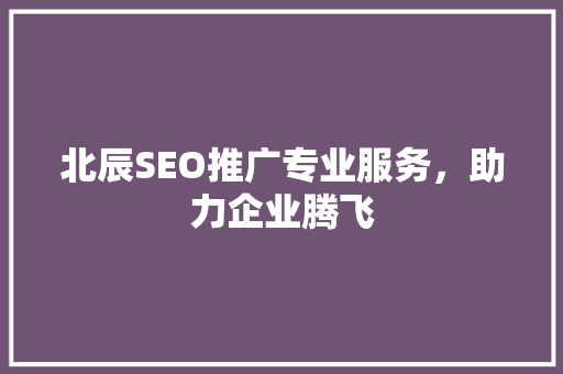北辰SEO推广专业服务，助力企业腾飞