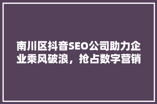 南川区抖音SEO公司助力企业乘风破浪，抢占数字营销高地