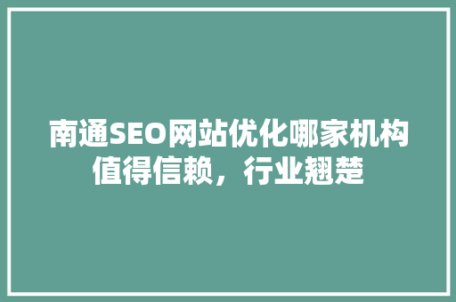 南通SEO网站优化哪家机构值得信赖，行业翘楚