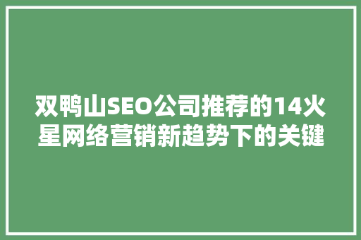 双鸭山SEO公司推荐的14火星网络营销新趋势下的关键步骤