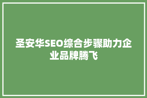 圣安华SEO综合步骤助力企业品牌腾飞