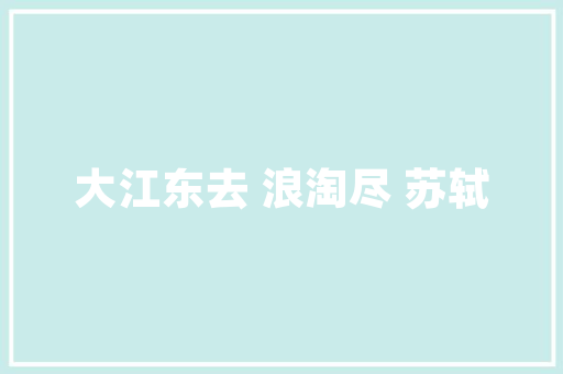 宁波企业SEO外包专业助力，让您的网站脱颖而出  第1张
