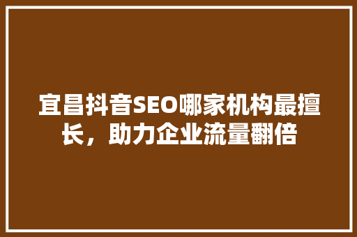 宜昌抖音SEO哪家机构最擅长，助力企业流量翻倍