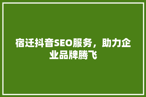 宿迁抖音SEO服务，助力企业品牌腾飞