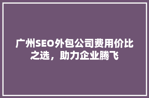 广州SEO外包公司费用价比之选，助力企业腾飞