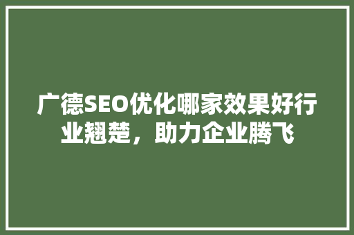 广德SEO优化哪家效果好行业翘楚，助力企业腾飞