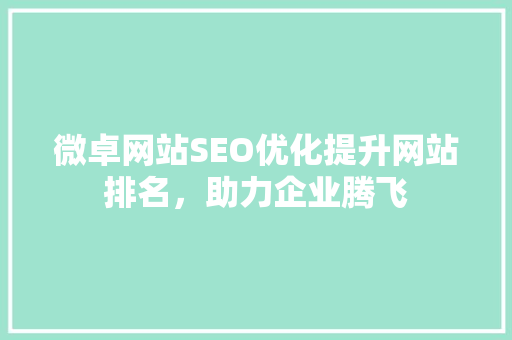 微卓网站SEO优化提升网站排名，助力企业腾飞