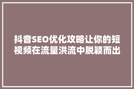 抖音SEO优化攻略让你的短视频在流量洪流中脱颖而出