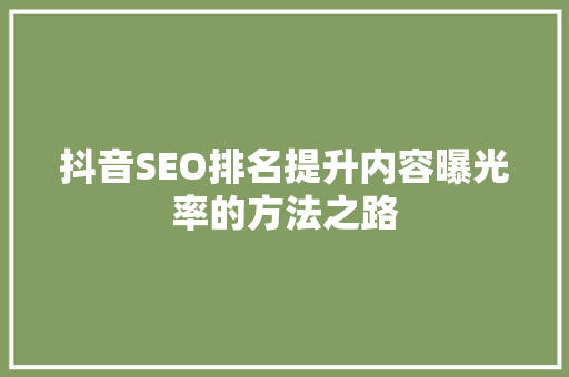 抖音SEO排名提升内容曝光率的方法之路
