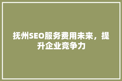 抚州SEO服务费用未来，提升企业竞争力
