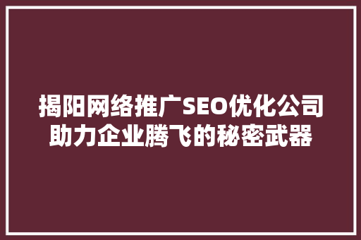 揭阳网络推广SEO优化公司助力企业腾飞的秘密武器
