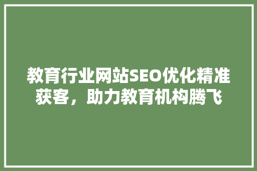 教育行业网站SEO优化精准获客，助力教育机构腾飞