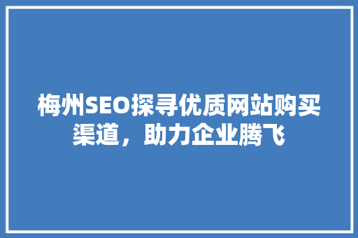 梅州SEO探寻优质网站购买渠道，助力企业腾飞