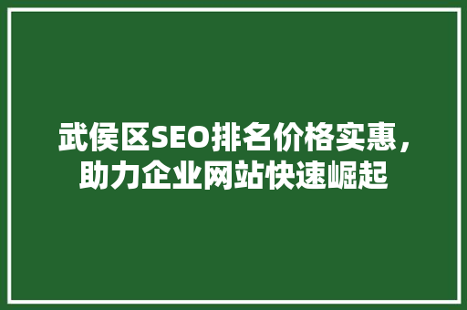 武侯区SEO排名价格实惠，助力企业网站快速崛起  第1张