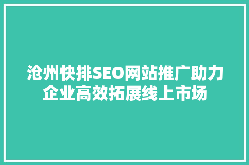沧州快排SEO网站推广助力企业高效拓展线上市场