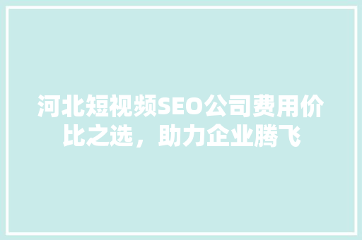 河北短视频SEO公司费用价比之选，助力企业腾飞