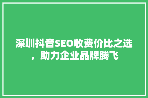 深圳抖音SEO收费价比之选，助力企业品牌腾飞
