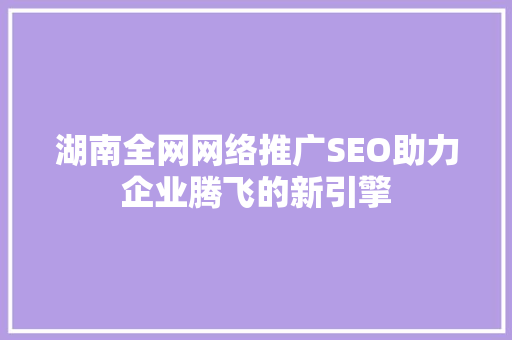 湖南全网网络推广SEO助力企业腾飞的新引擎