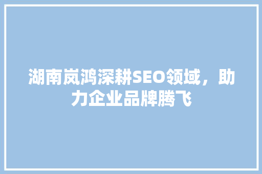 湖南岚鸿深耕SEO领域，助力企业品牌腾飞