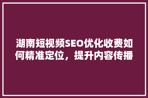 湖南短视频SEO优化收费如何精准定位，提升内容传播力  第1张