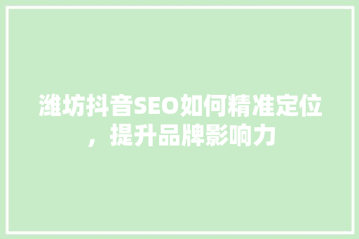 潍坊抖音SEO如何精准定位，提升品牌影响力