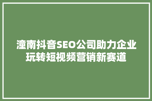 潼南抖音SEO公司助力企业玩转短视频营销新赛道
