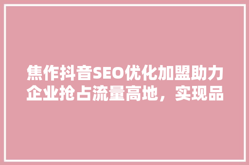 焦作抖音SEO优化加盟助力企业抢占流量高地，实现品牌腾飞  第1张
