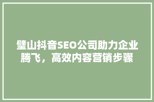 璧山抖音SEO公司助力企业腾飞，高效内容营销步骤