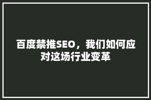 百度禁推SEO，我们如何应对这场行业变革