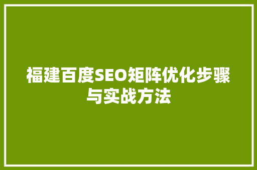 福建百度SEO矩阵优化步骤与实战方法