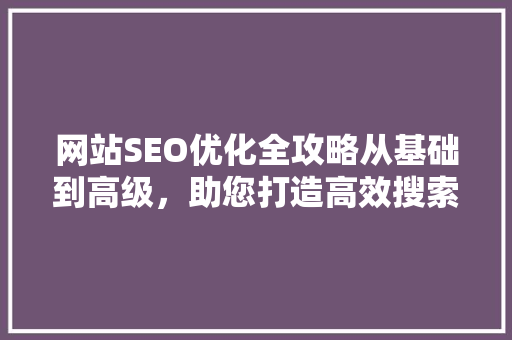 网站SEO优化全攻略从基础到高级，助您打造高效搜索引擎排名  第1张