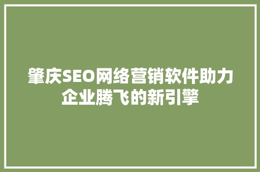 肇庆SEO网络营销软件助力企业腾飞的新引擎  第1张