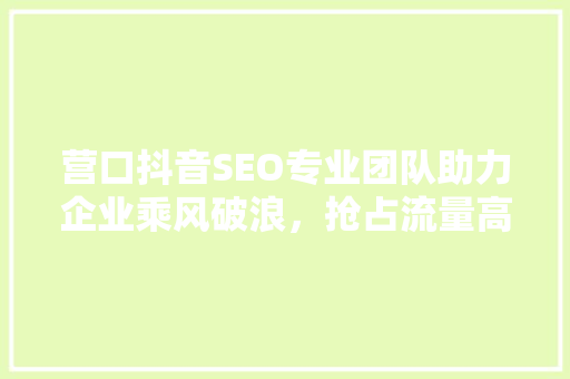 营口抖音SEO专业团队助力企业乘风破浪，抢占流量高地