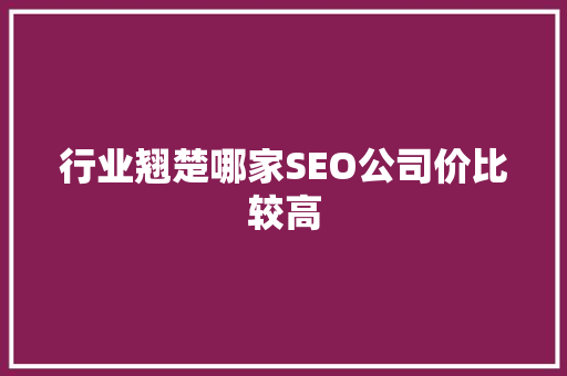行业翘楚哪家SEO公司价比较高