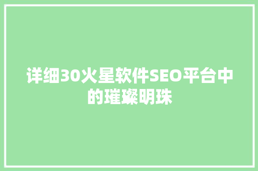 详细30火星软件SEO平台中的璀璨明珠
