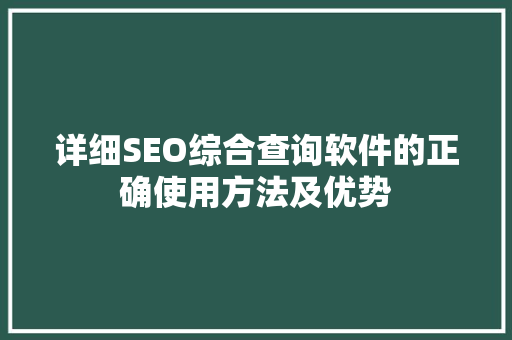 详细SEO综合查询软件的正确使用方法及优势