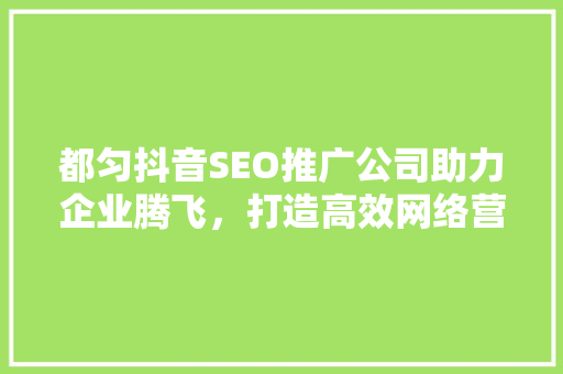都匀抖音SEO推广公司助力企业腾飞，打造高效网络营销新格局