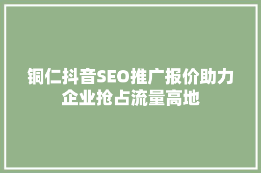 铜仁抖音SEO推广报价助力企业抢占流量高地