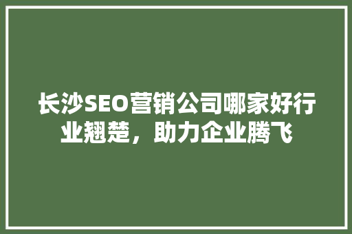 长沙SEO营销公司哪家好行业翘楚，助力企业腾飞