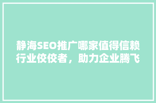 静海SEO推广哪家值得信赖行业佼佼者，助力企业腾飞