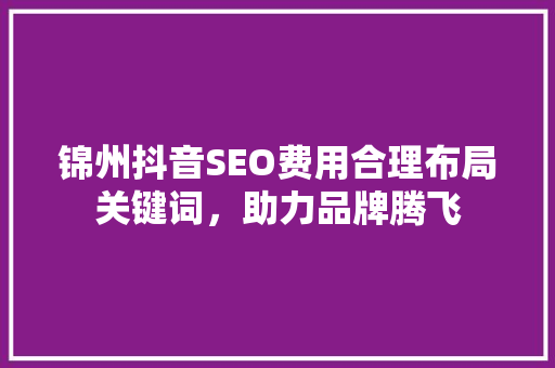 锦州抖音SEO费用合理布局关键词，助力品牌腾飞